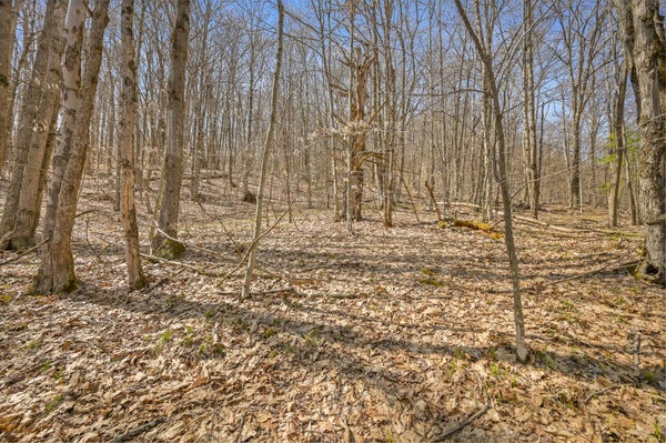 LUTHERANVILLE RD, SUMMIT, NY 12175 - Image e69ba32d53d2fd138f8e3d002a1fdc3f/1551726972