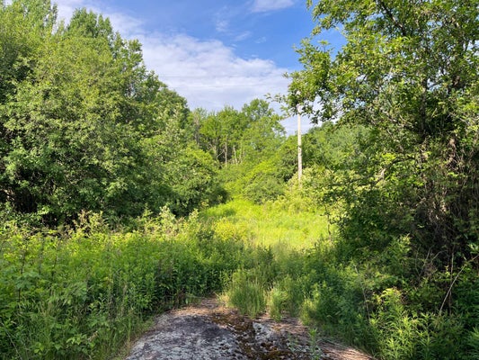 92 EDDY PYRITES RD, CANTON, NY 13617 - Image ed2b31edd3620378b192b372d36ea4dc/4172274873