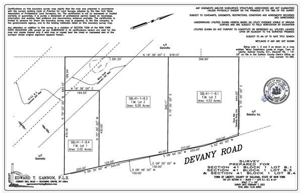 126 DEVANY RD, FERNDALE, NY 12734 - Image fa2f3df7a66216d9fc6c3d053651e2a4/1243214950