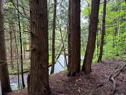 1.5 JONES ROAD # 5, GERMAN, NY 13801 - Image fa30ddc112f8f9f027a30d2af2d1766b/2735323528