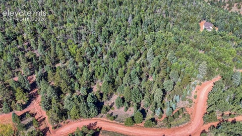 Photo of 1232 Monarch Drive, Cripple Creek, CO 80813 (MLS # 1903998)