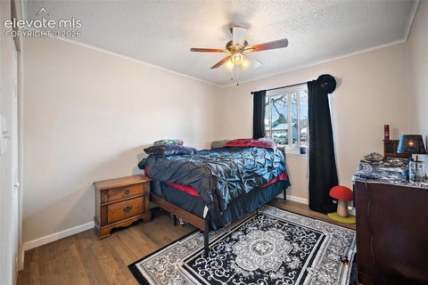 Tiny photo for 7045 Coolidge Court, Colorado Springs, CO 80911 (MLS # 7209869)