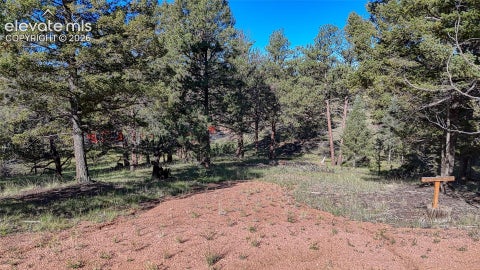 Photo of 91 Utah Way, Florissant, CO 80816 (MLS # 8050803)