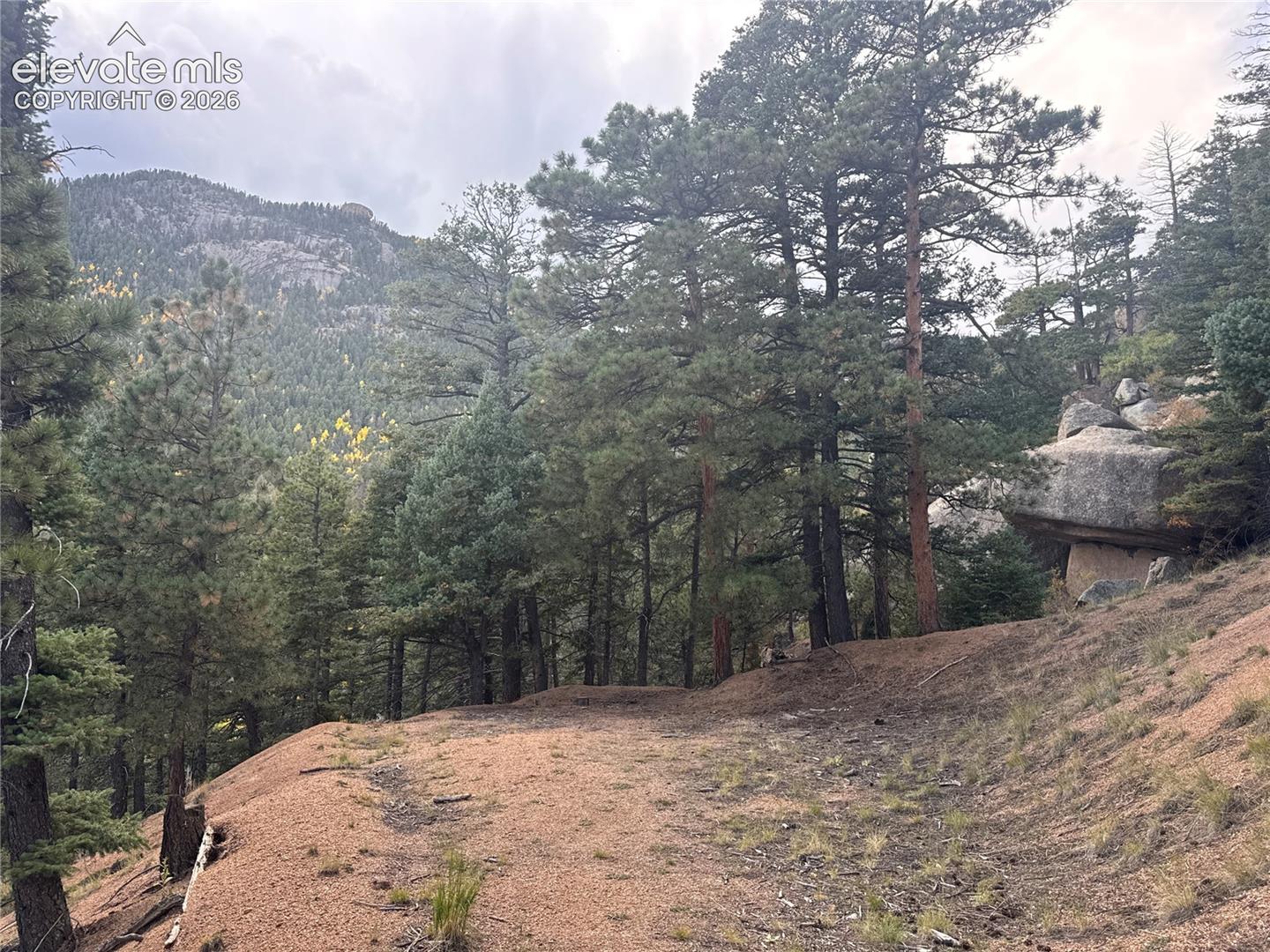336 Ponderosa View