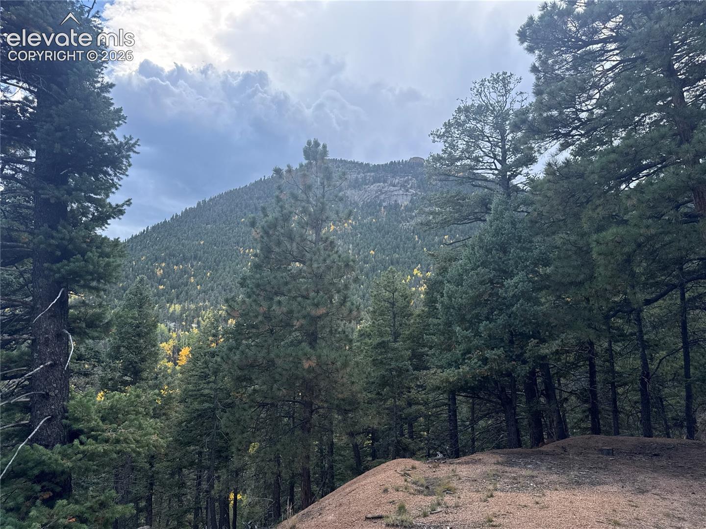 336 Ponderosa View