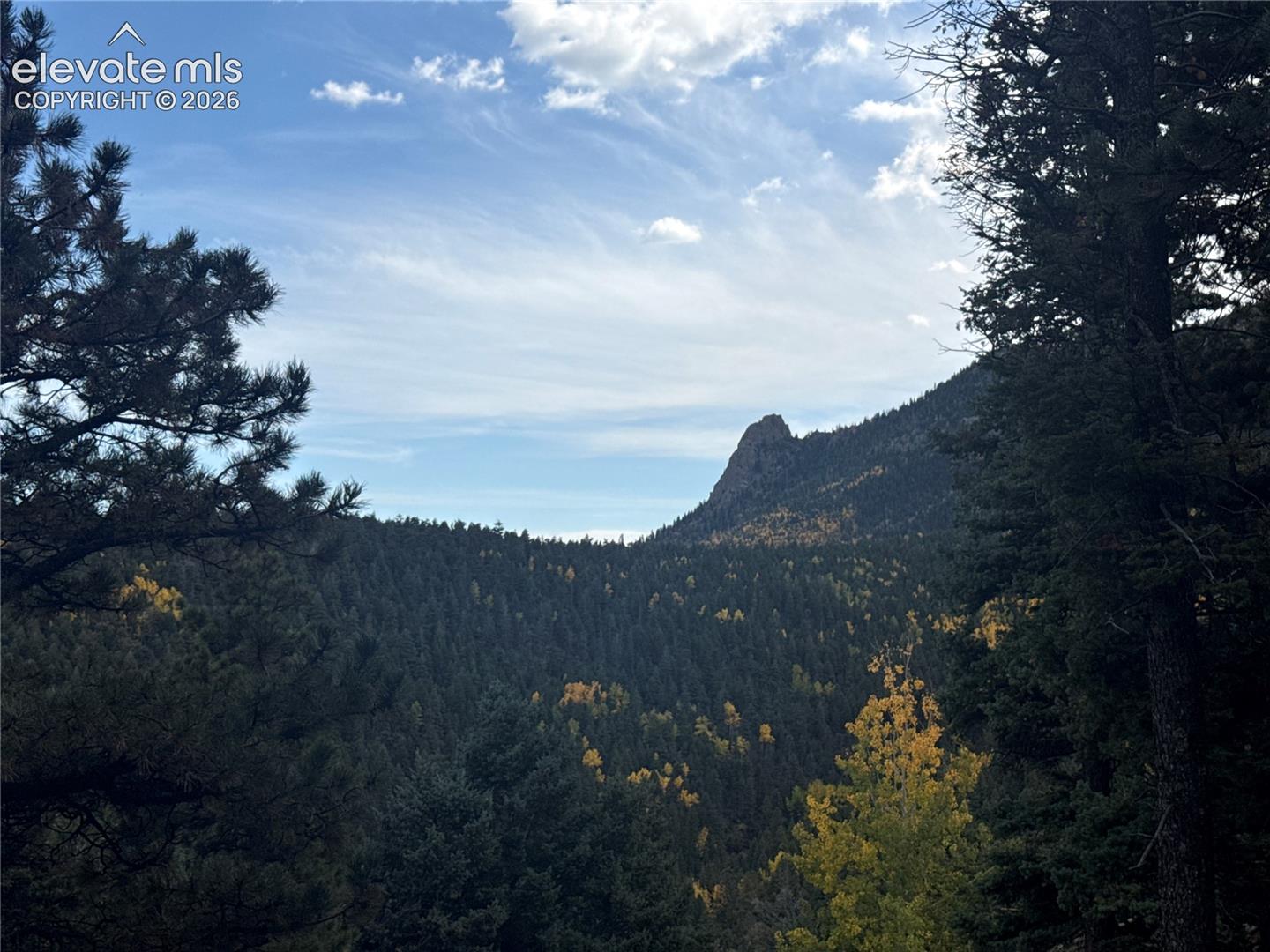 336 Ponderosa View