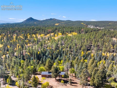 Photo of 695 Elk Creek Drive, Divide, CO 80814 (MLS # 1673767)