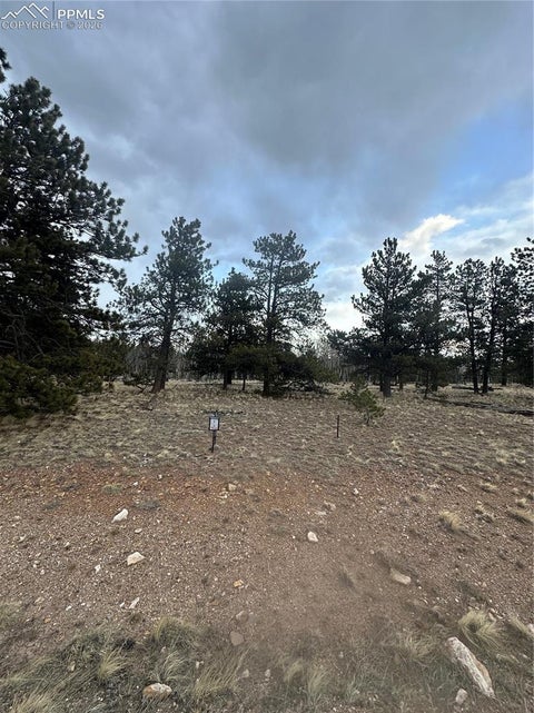 Photo of 72 Sulky Court, Hartsel, CO 80449 (MLS # 6195726)