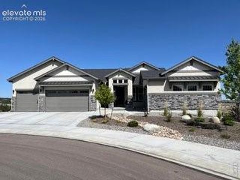 Photo of 12377 Mionetto Court, Colorado Springs, CO 80921 (MLS # 7795303)