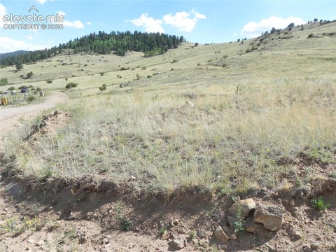 Photo of 12 Colorado Avenue, Cripple Creek, CO 80813 (MLS # 5890132)