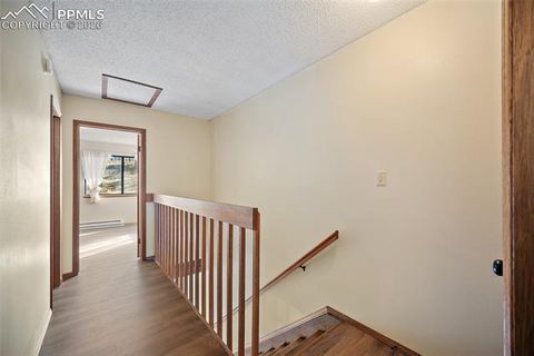 Tiny photo for 590 Manor Court #D, Woodland Park, CO 80863 (MLS # 7358125)