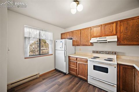 Tiny photo for 590 Manor Court #D, Woodland Park, CO 80863 (MLS # 7358125)