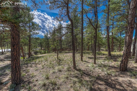 Tiny photo for 101 Dunlap Drive, Florissant, CO 80816 (MLS # 1619842)