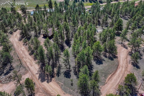 Tiny photo for 101 Dunlap Drive, Florissant, CO 80816 (MLS # 1619842)