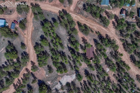 Tiny photo for 101 Dunlap Drive, Florissant, CO 80816 (MLS # 1619842)