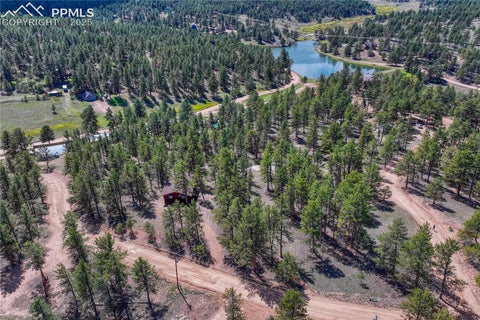 Tiny photo for 101 Dunlap Drive, Florissant, CO 80816 (MLS # 1619842)
