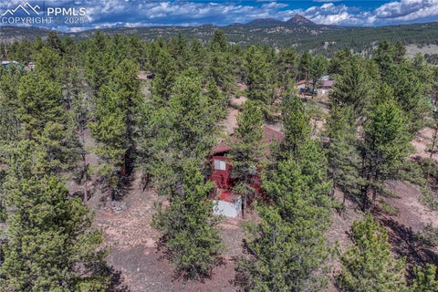 Tiny photo for 101 Dunlap Drive, Florissant, CO 80816 (MLS # 1619842)