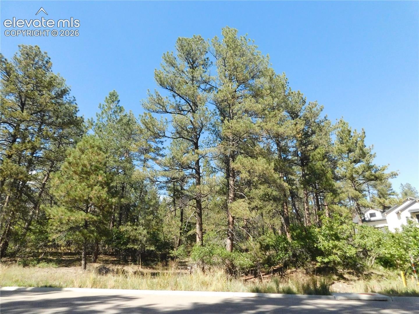 773 Copper Fox Place