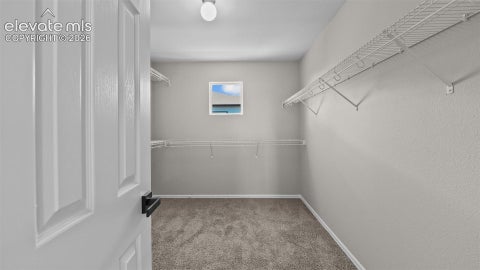 Tiny photo for 2044 Reed Grass Way, Colorado Springs, CO 80915 (MLS # 3715747)
