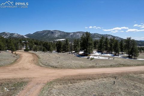Photo of 70 Sioux Circle, Florissant, CO 80816 (MLS # 4776167)