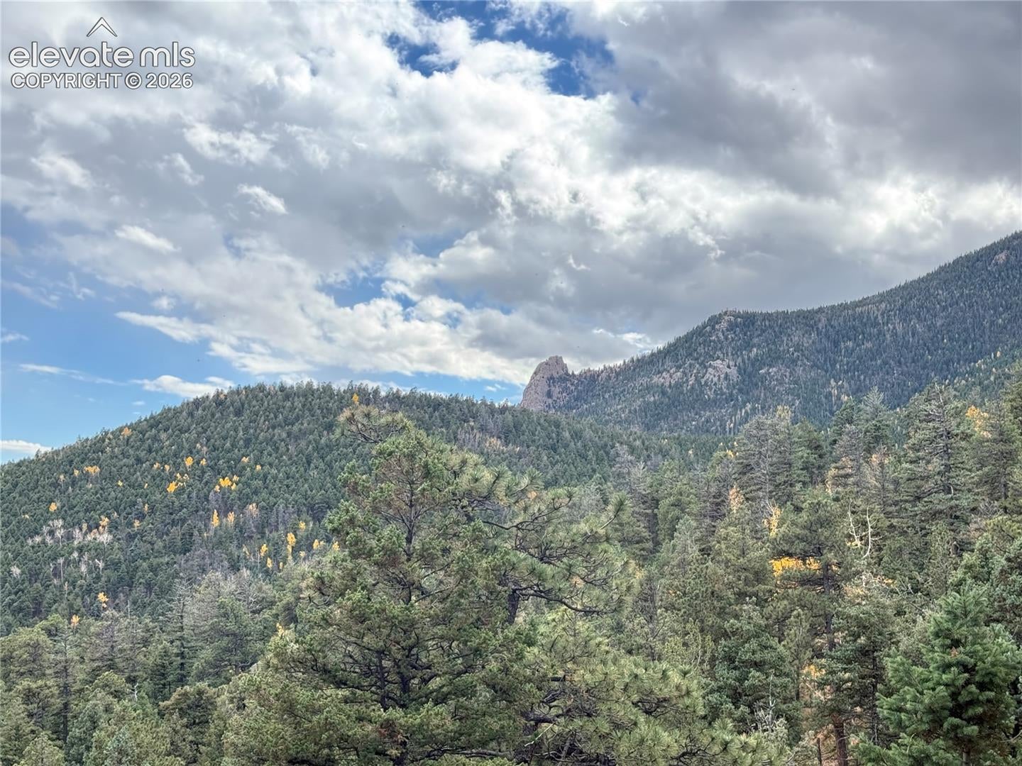 470 Palmer Trail
