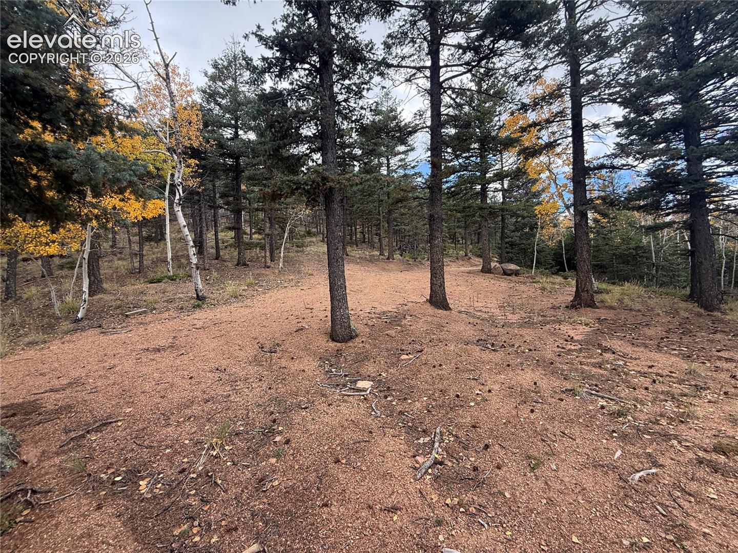 470 Palmer Trail
