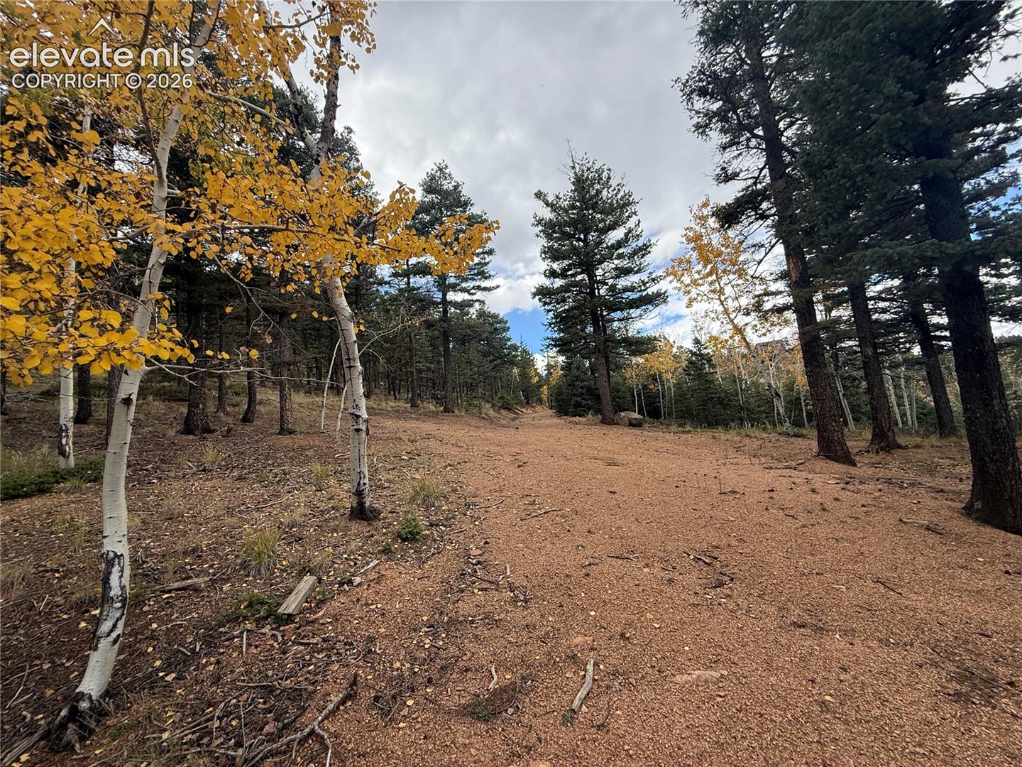 470 Palmer Trail