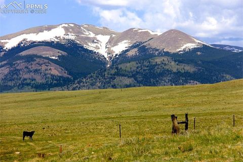 Photo of 21103 Elkhorn Road, Como, CO 80456 (MLS # 6795436)