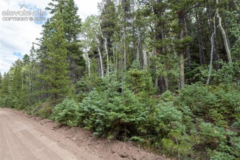 Photo of 2238 Buonaventura Lane, Fort Garland, CO 81133 (MLS # 3073756)