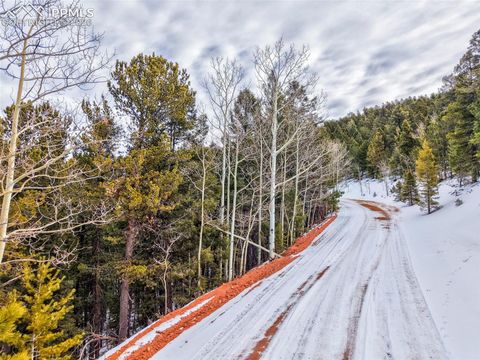 Photo of 165 Witherite Drive, Divide, CO 80814 (MLS # 3351640)