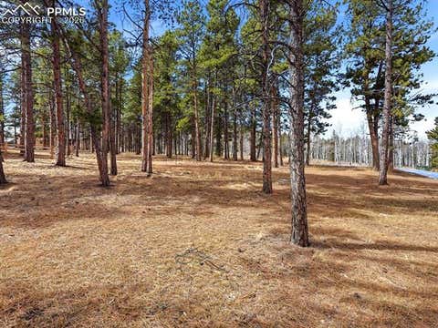 Tiny photo for 1305 Stone Ridge Drive, Woodland Park, CO 80863 (MLS # 6687797)