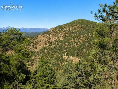 Photo of 11175 County Road 255, Westcliffe, CO 81252 (MLS # 5499222)