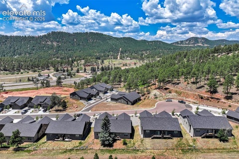 Tiny photo for 528 Brecken Court, Woodland Park, CO 80863 (MLS # 7738541)