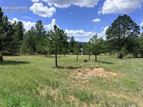 Photo of 189 Rhyolite Lane, Florissant, CO 80816 (MLS # 6893467)