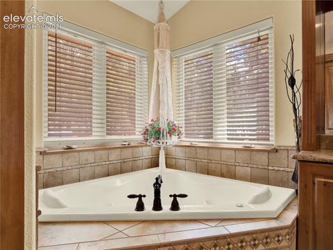 Tiny photo for 27638 Triple B Road, Woodland Park, CO 80863 (MLS # 6940465)