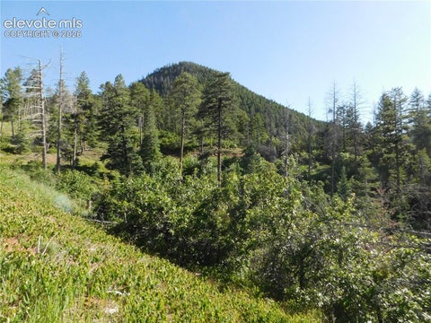Photo of 11 Cheyenne Drive, Larkspur, CO 80118 (MLS # 1993887)