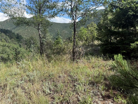 Photo of 312 Upper Sun Valley Lane, Manitou Springs, CO 80829 (MLS # 8040536)