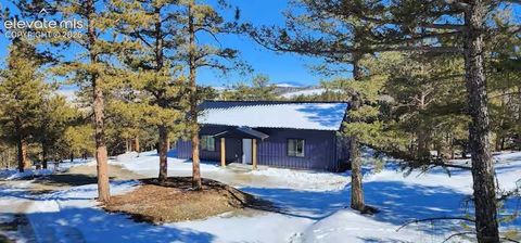 Photo of 1173 Bellows Road, Hartsel, CO 80449 (MLS # 5885023)