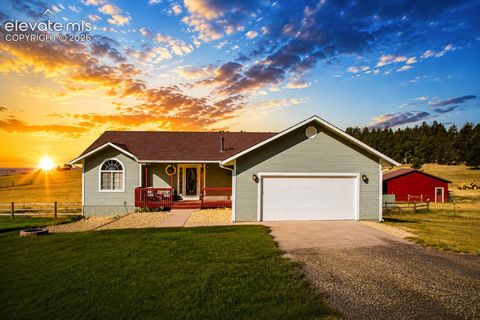 Photo of 18635 Steeplechase Drive, Peyton, CO 80831 (MLS # 7544329)
