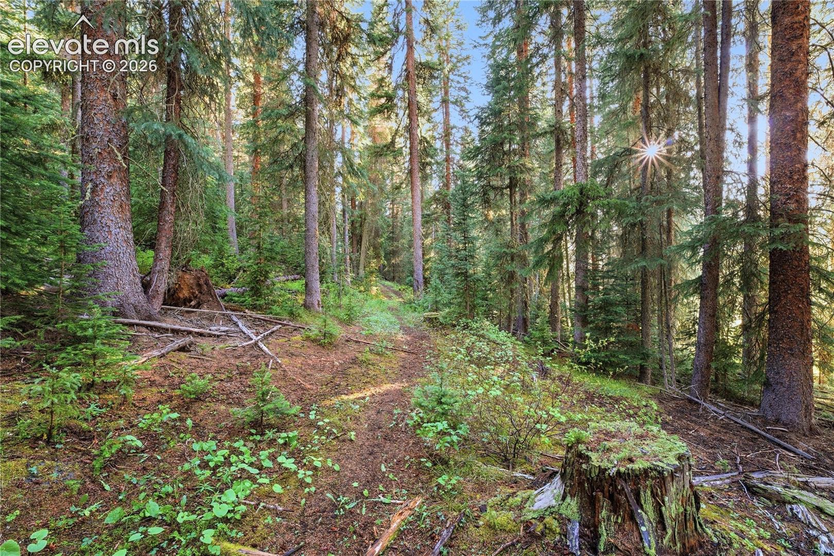 Woods NA