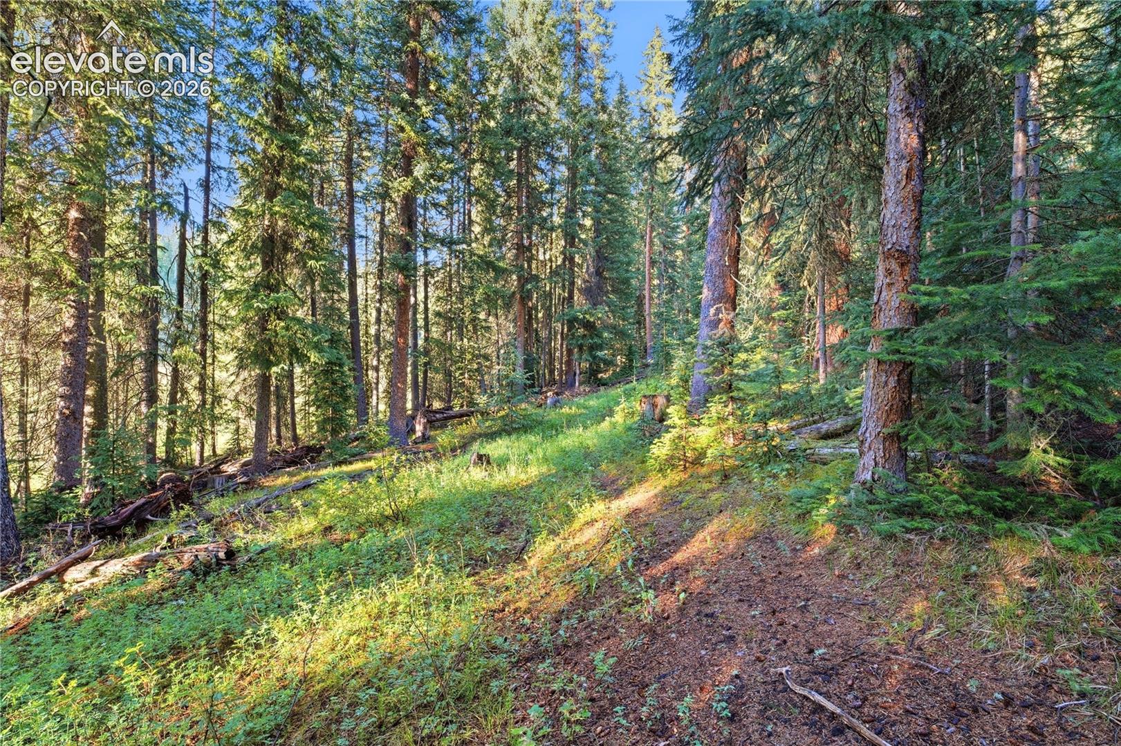 Woods NA
