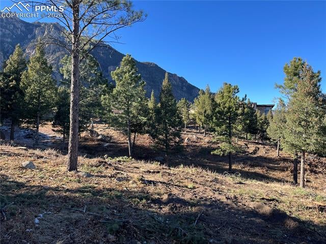 920 Grey Mountain Point