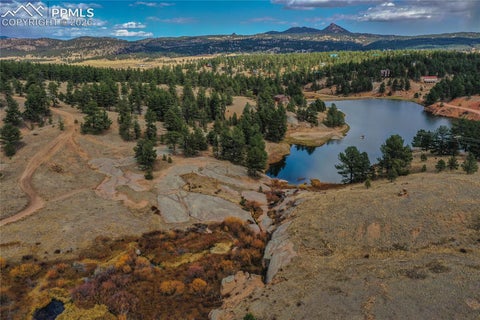 Tiny photo for 901 Wilson Drive, Florissant, CO 80816 (MLS # 8161037)