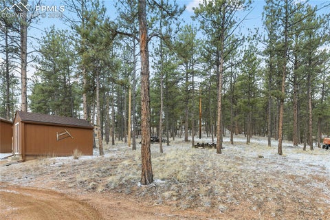 Tiny photo for 901 Wilson Drive, Florissant, CO 80816 (MLS # 8161037)