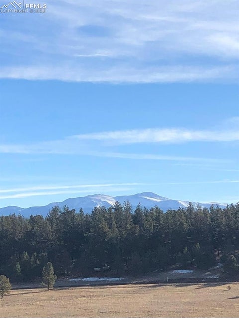 Tiny photo for 901 Wilson Drive, Florissant, CO 80816 (MLS # 8161037)