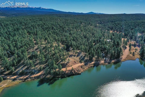 Tiny photo for 901 Wilson Drive, Florissant, CO 80816 (MLS # 8161037)