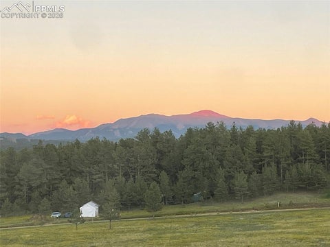 Tiny photo for 901 Wilson Drive, Florissant, CO 80816 (MLS # 8161037)