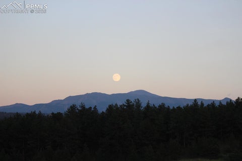 Tiny photo for 901 Wilson Drive, Florissant, CO 80816 (MLS # 8161037)