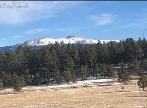 Tiny photo for 901 Wilson Drive, Florissant, CO 80816 (MLS # 8161037)