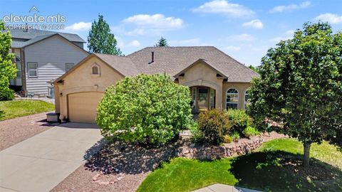 Photo of 16274 Windy Creek Drive, Monument, CO 80132 (MLS # 3641328)